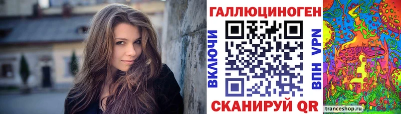 Псилоцибиновые грибы Psilocybe  Старая Купавна 